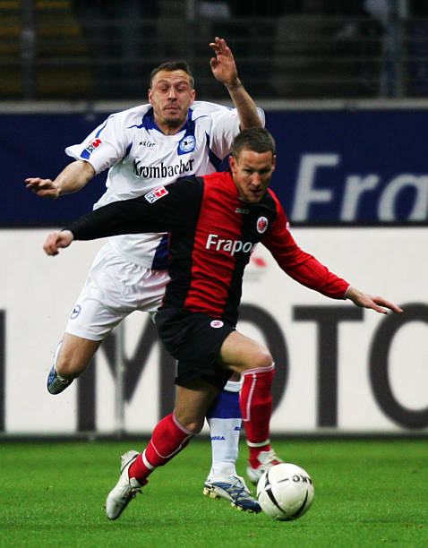 的多样性 的多样性